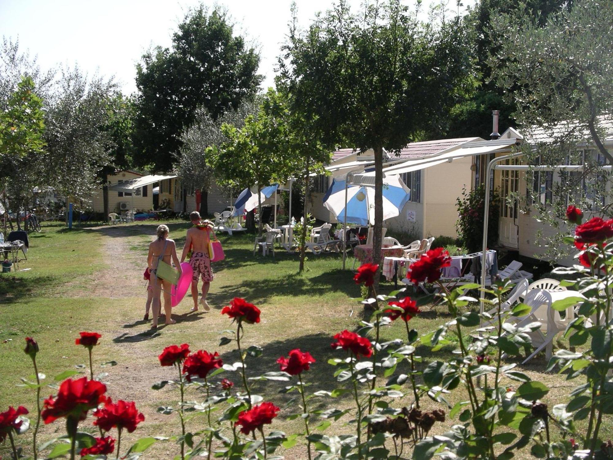 Blu International Camping Bolsena Exterior photo